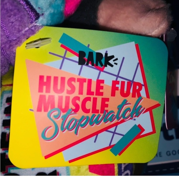 NEW SET OF 3 BARK BOX DOG TOYS FROM THEIR EXERCISE THEME BOX - Picture 5 of 7